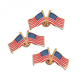 Double American Flag Pins