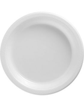 Frosty White Plastic Dinner Plates 20ct 