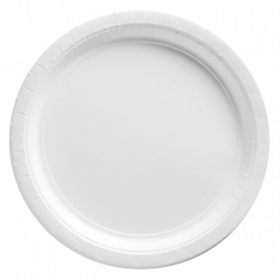 Frosty White Paper Dinner Plates 20ct